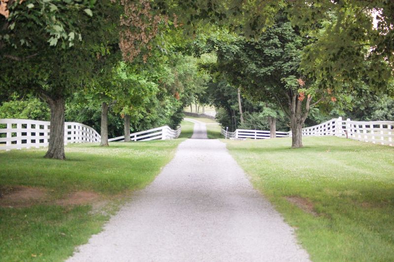 Resin Bonded Driveway Installation